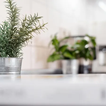 Kaiserhof 18-20 Ostseeoase * Kellenhusen